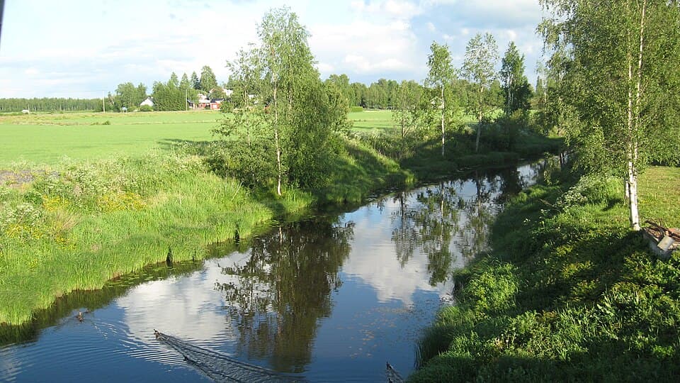 Laihianjoki vihreässä jokimaisemassa